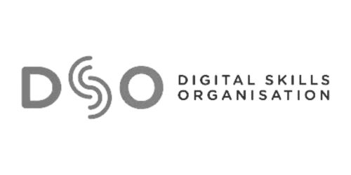 Digital Skills Organisation